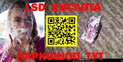 прущие грибы Краснознаменск