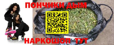 прущие грибы Краснознаменск