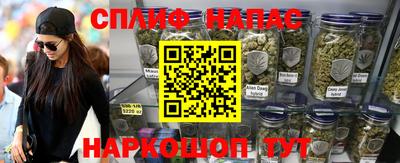 прущие грибы Краснознаменск