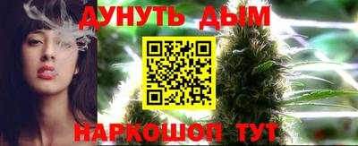 прущие грибы Краснознаменск