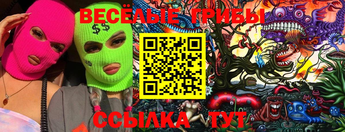 Галлюциногенные грибы прущие грибы Чебоксары