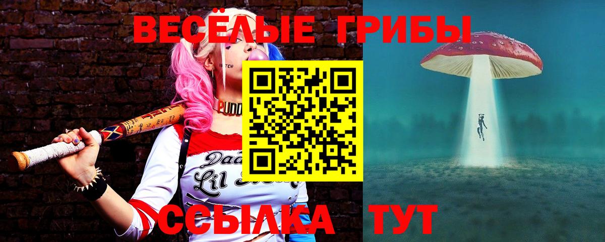 Чебоксары  Галлюциногенные грибы Cubensis  дарнет шоп  Вход с VPN 
